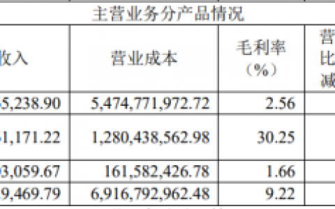 龙蟠科技亏损难止，核心产品量增价跌，短债高企与项目延期 “雪上加霜”