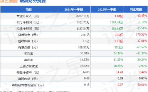 盘古智能（301456）2025年一季报简析：增收不增利，公司应收账款体量较大