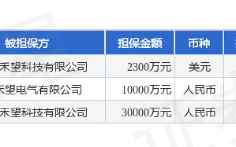 禾望电气披露3笔对外担保，被担保公司2家