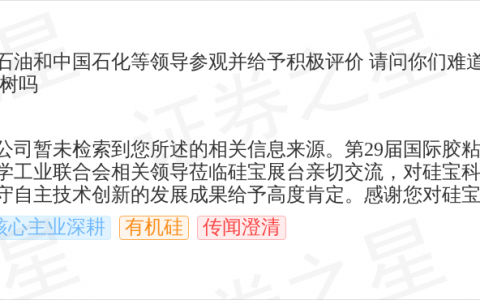 硅宝科技9月20日回应有机硅话题：中石化联合会领导莅临展台交流并肯定发展成果