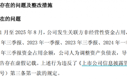 ST新华锦整改落地难摘帽：四年资金占用余波未了，子公司失控成关键梗阻