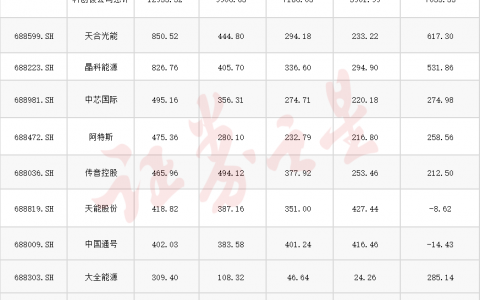科创板开市四周年：上市公司总利润涨近三倍 大全能源最能赚钱