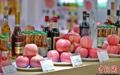 北京配资网 中外客商国际果蔬会上共觅“美味”商机