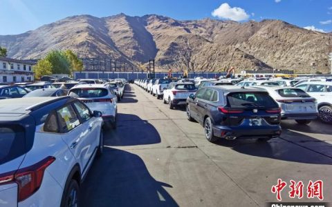 配资炒股平台 青藏铁路拉萨西站货场今年已到达商品汽车3.1万辆