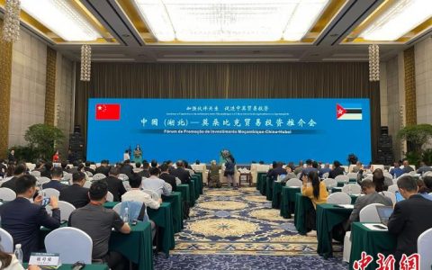 正规配资网站 中国（湖北）与莫桑比克加强农业等领域合作