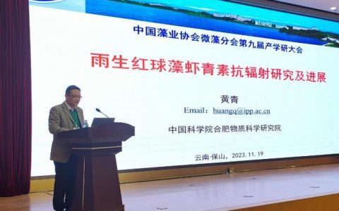 犀牛配资 专家热议微藻抗辐射价值 开启行业高质量发展之路