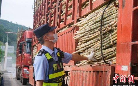 在线配资网 中老两国榨季甘蔗跨境运输正式开启