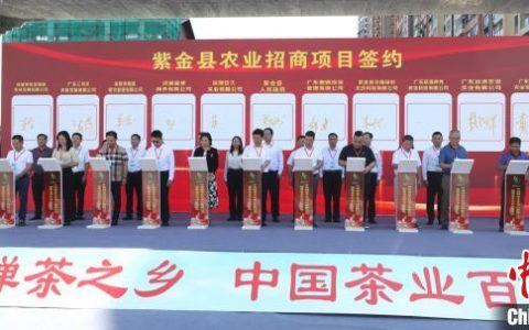 配资查询 中国蝉茶交易中心在河源紫金揭牌