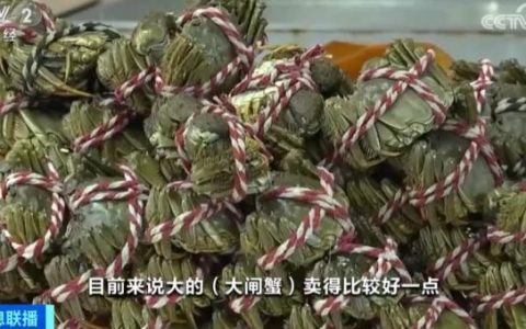 犀牛配资 又降价了！大闸蟹每只跌破10元！为什么？