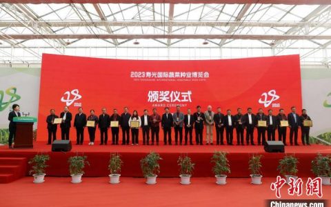 股票配资门户 海内外400余家企业齐聚山东寿光 深化种业科技创新合作