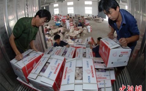 在线配资 “鲁字号”农产品出海“圈粉” 俏销国际市场