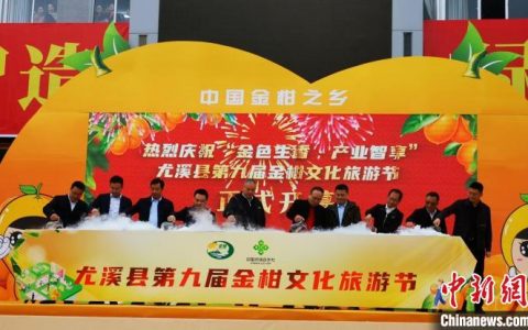 配资软件 （乡村行·看振兴）福建尤溪金柑迎来丰收期