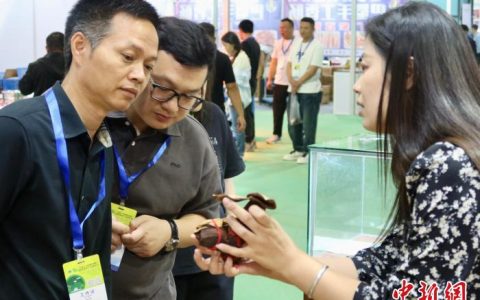 外盘配资 “人气”展会吸引百家台企赴浙江义乌“开张大吉”