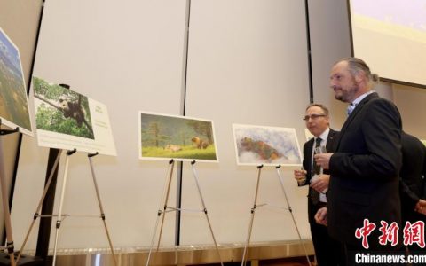 期货配资 中国驻加拿大使馆举办国家公园图片展