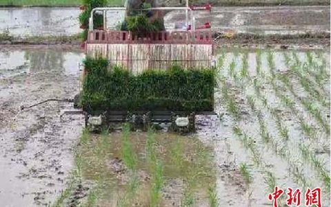 配资之家 【人权行动看中国】探访昔日“中国土改第一村”：稻花香里又是一个丰收年