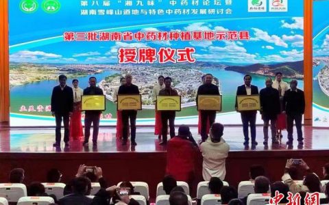 配资中心 湖南怀化中药材种植面积达124万余亩 培育湘产特色药材“怀六味”