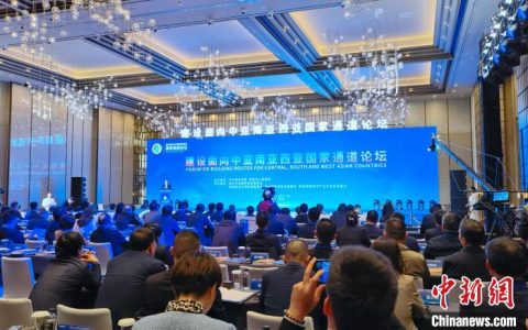 线上炒股配资 建设面向中亚南亚西亚国家通道论坛在西安举办 各界共议古都新发展