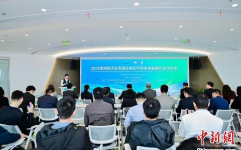 黄金配资 （第六届进博会）中外专家和业界人士共论以光伏等可持续模式推动荒漠化地区绿色发展