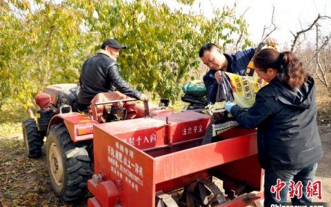 期货配资网 (乡村行·看振兴) 山西：化肥直配到果园 省时省力助农民增收