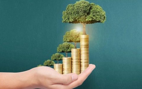 南昌股票配资实盘配资考察时这些东西要了解清楚