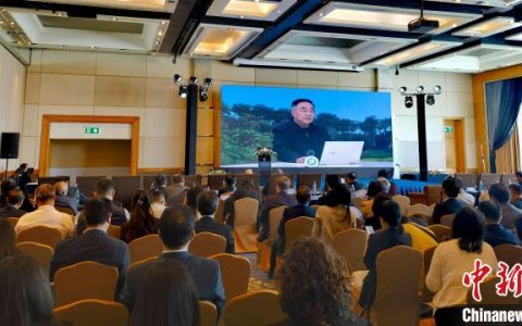 翻翻股票配资 2023国际针灸学术研讨会在曼谷举行