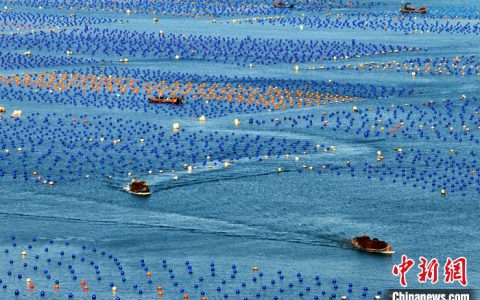 在线配资网站 前三季度中国海洋生产总值7.2万亿元 海洋经济持续恢复向好