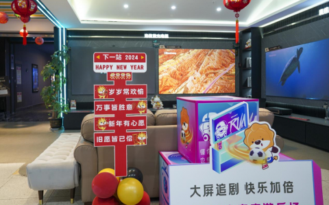 春节假期“亲情经济”升温，苏宁易购门店大屏彩电热销