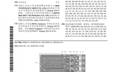 京东方Ａ公布国际专利申请：“显示基板和显示装置”