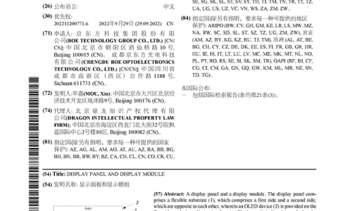 京东方Ａ公布国际专利申请：“显示面板和显示模组”