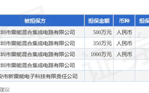 新雷能披露5笔对外担保，被担保公司达2家