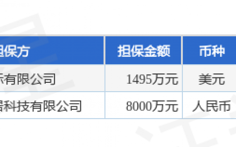 致欧科技披露2笔对外担保，被担保公司2家