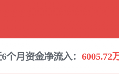 奕瑞科技2026年中报：双轮驱动战略兑现，硅基微显示背板贡献3.5亿元，境外收入同比翻倍